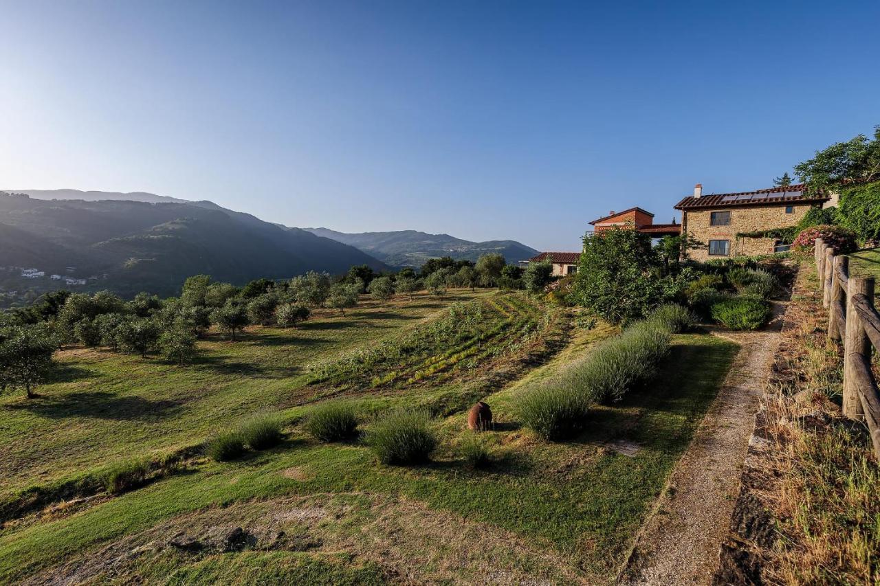 Agriturismo La Fontaccia Rufina Exterior foto