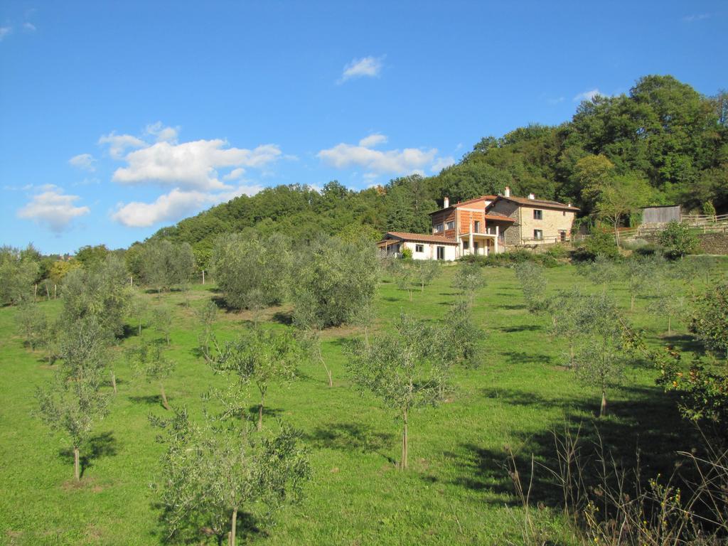Agriturismo La Fontaccia Rufina Exterior foto